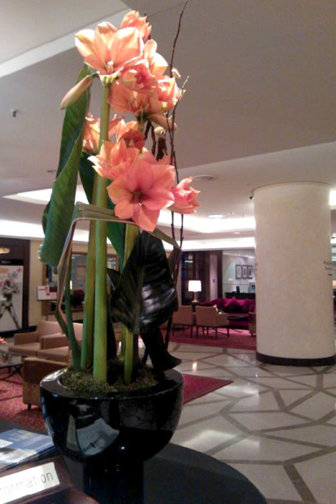 Hotel_10