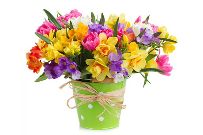 Osterblumen_01