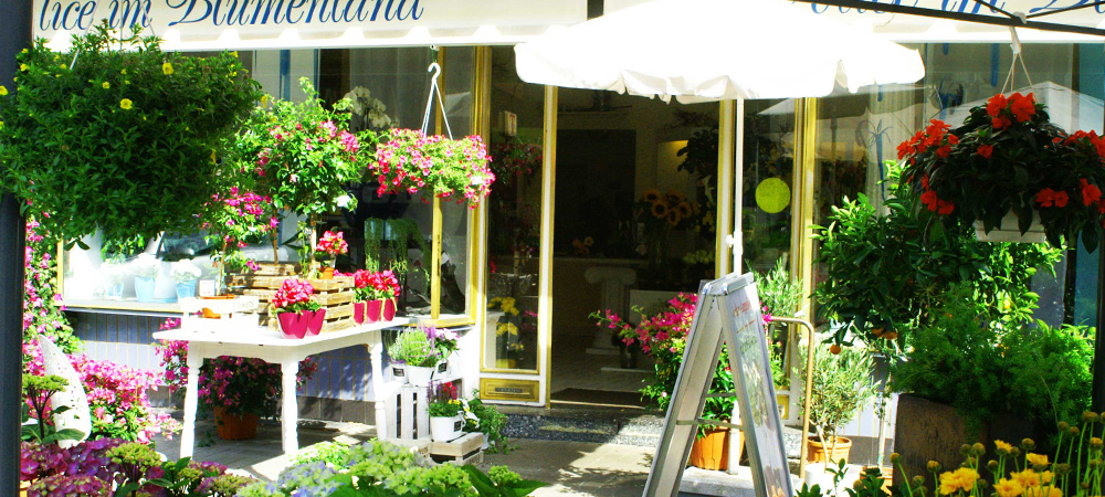 Shop_01